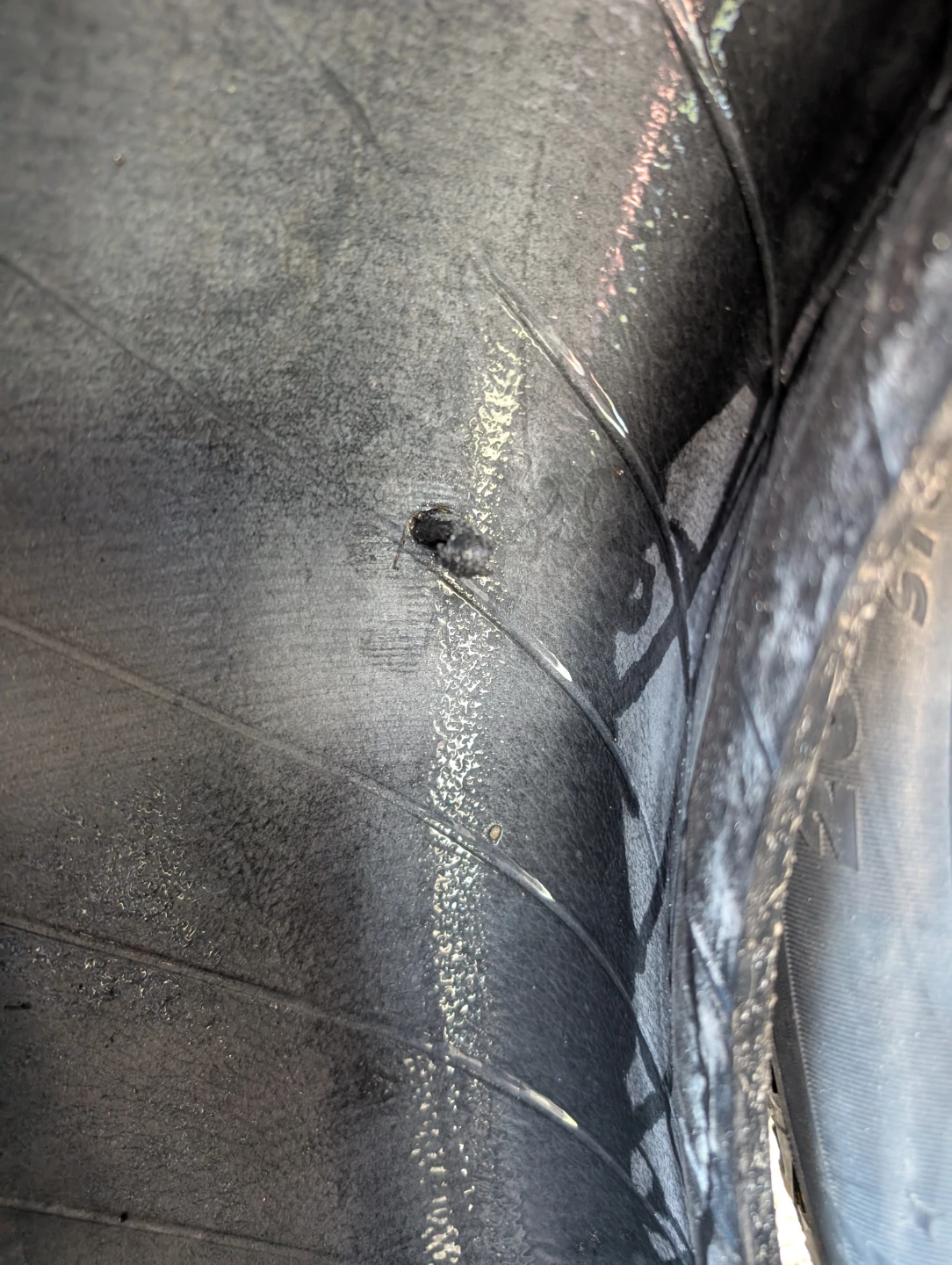 2 Michelin Winter Tires 205 60 R16 For Sale - photo 5