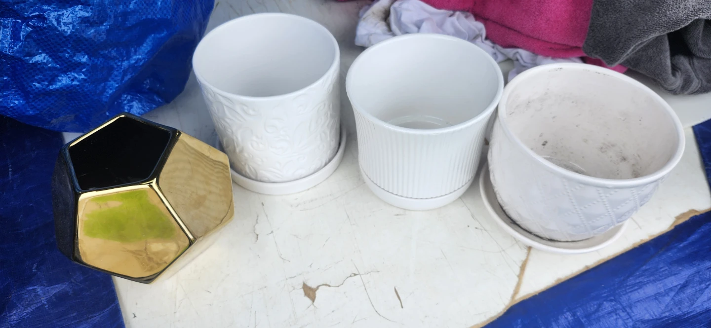 Flower pot for 4, for $10 - photo 2