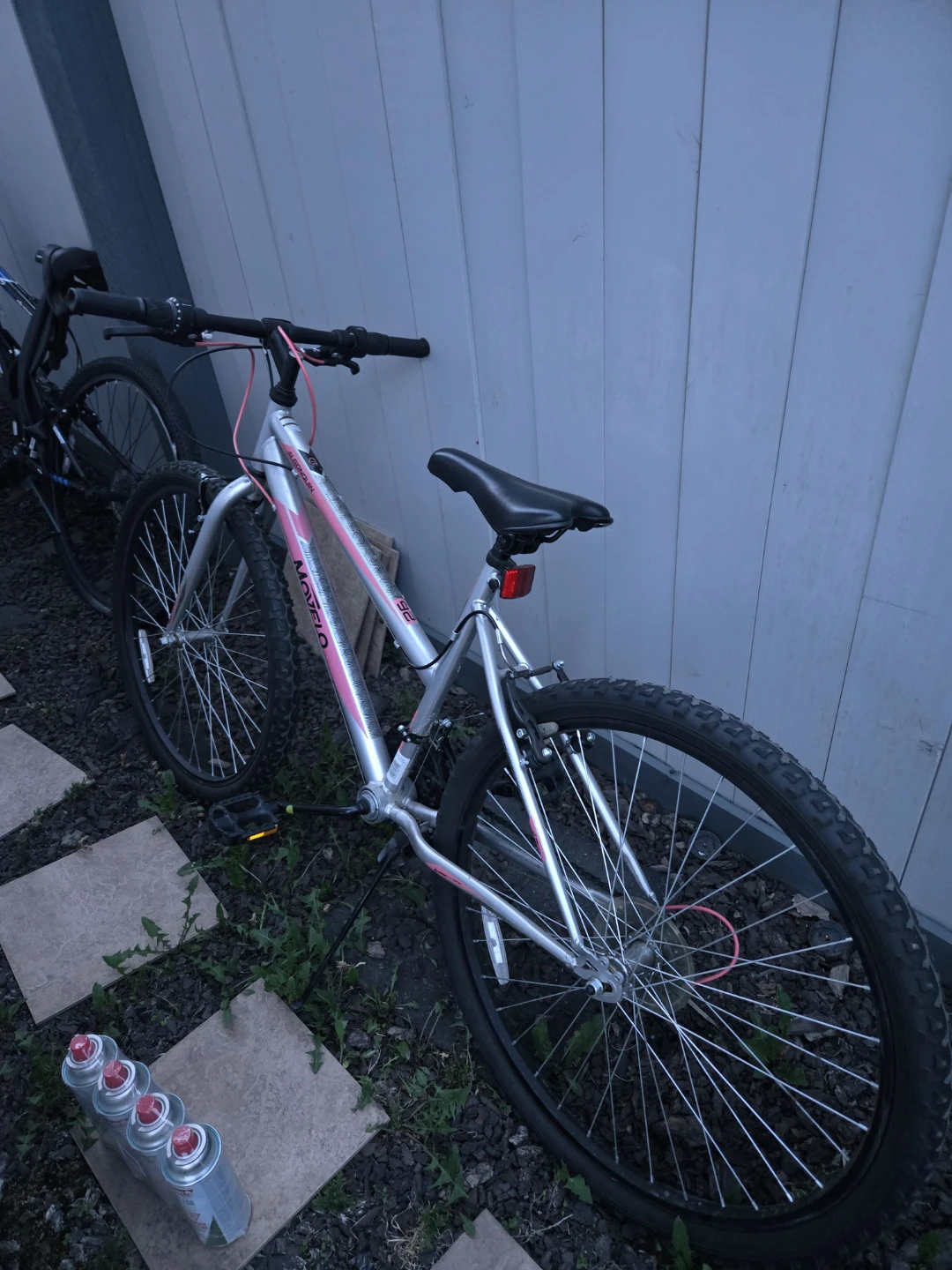 Mondane Mountain Bike - Silver/Pink