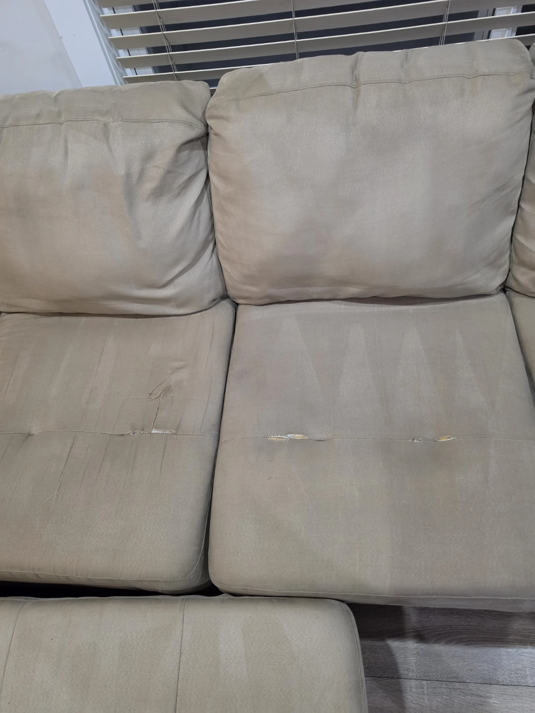 Large Sectional Sofa + Ottoman (10+ Feet) - Deep Cleaned! - photo 4