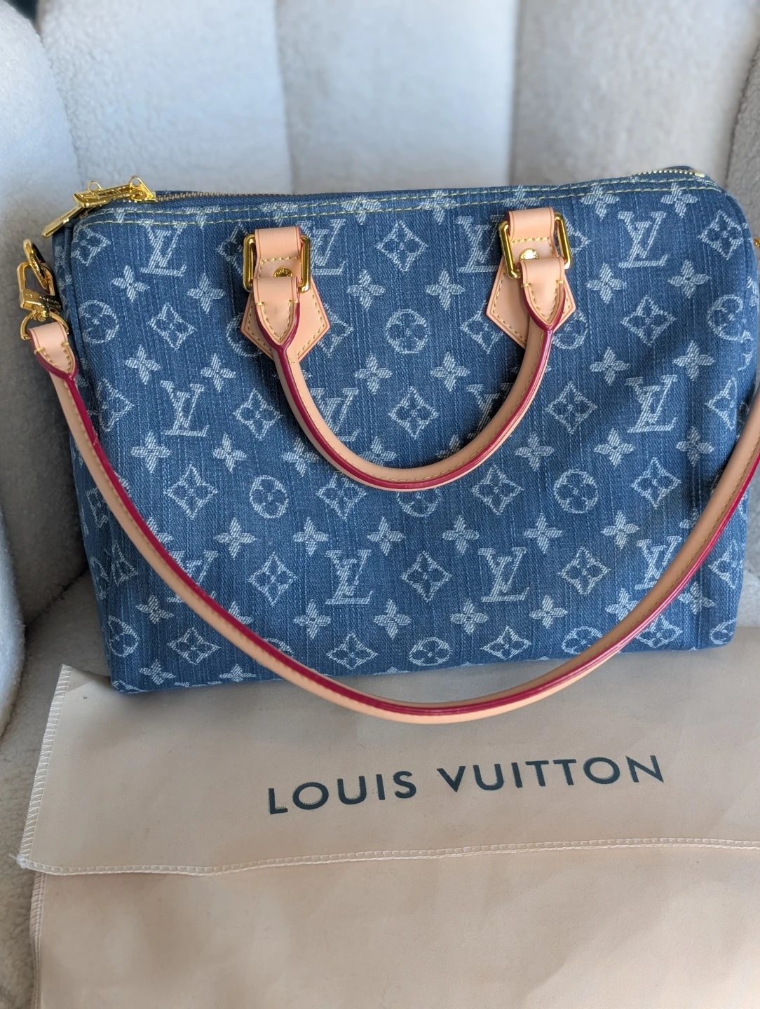 Louis Vuitton Speedy Bag
