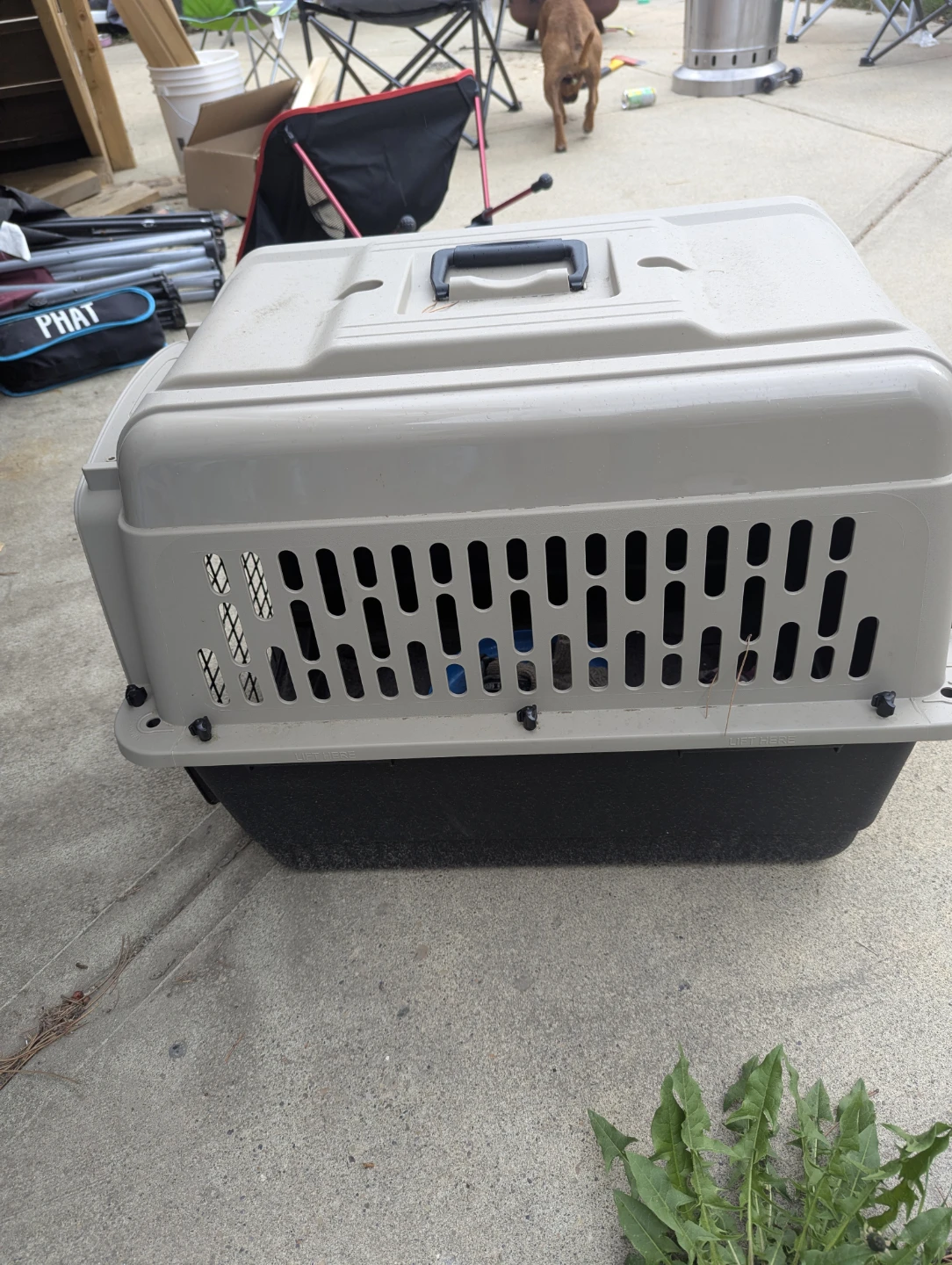 Large Dog Crate Carrier