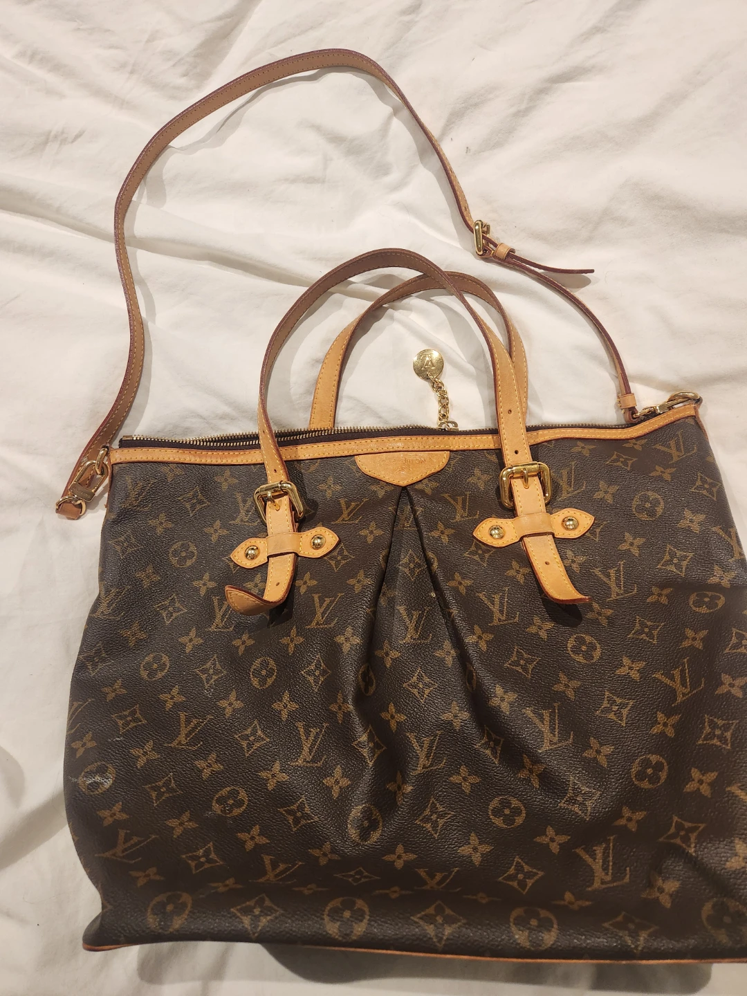 Louis Vuitton Monogram Canvas Speedy Bag