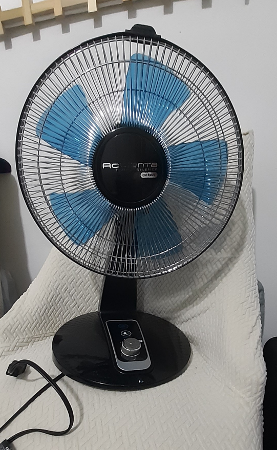 Rowenta Turbo Fan