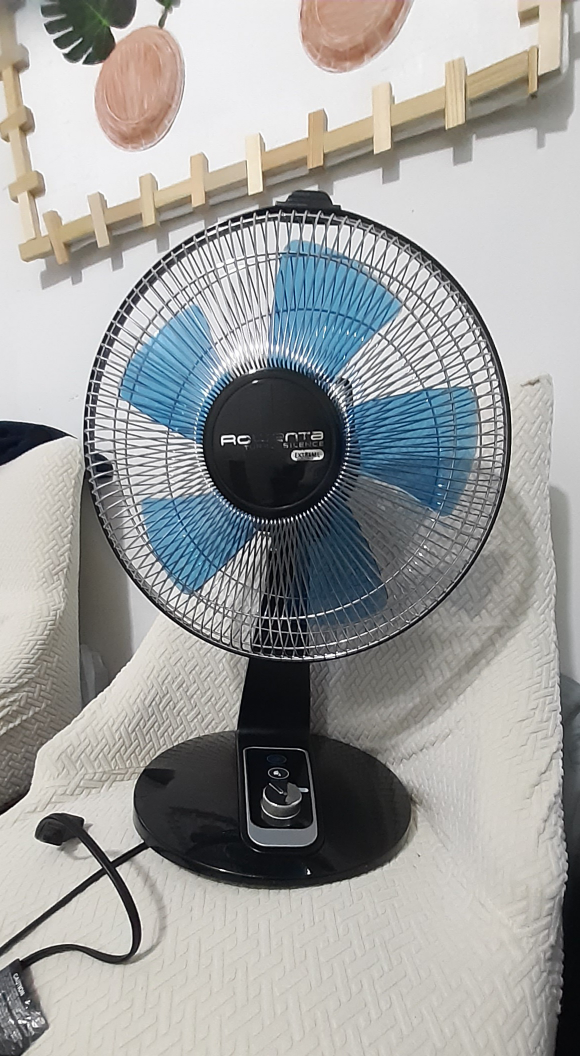 Rowenta Turbo Fan - photo 2