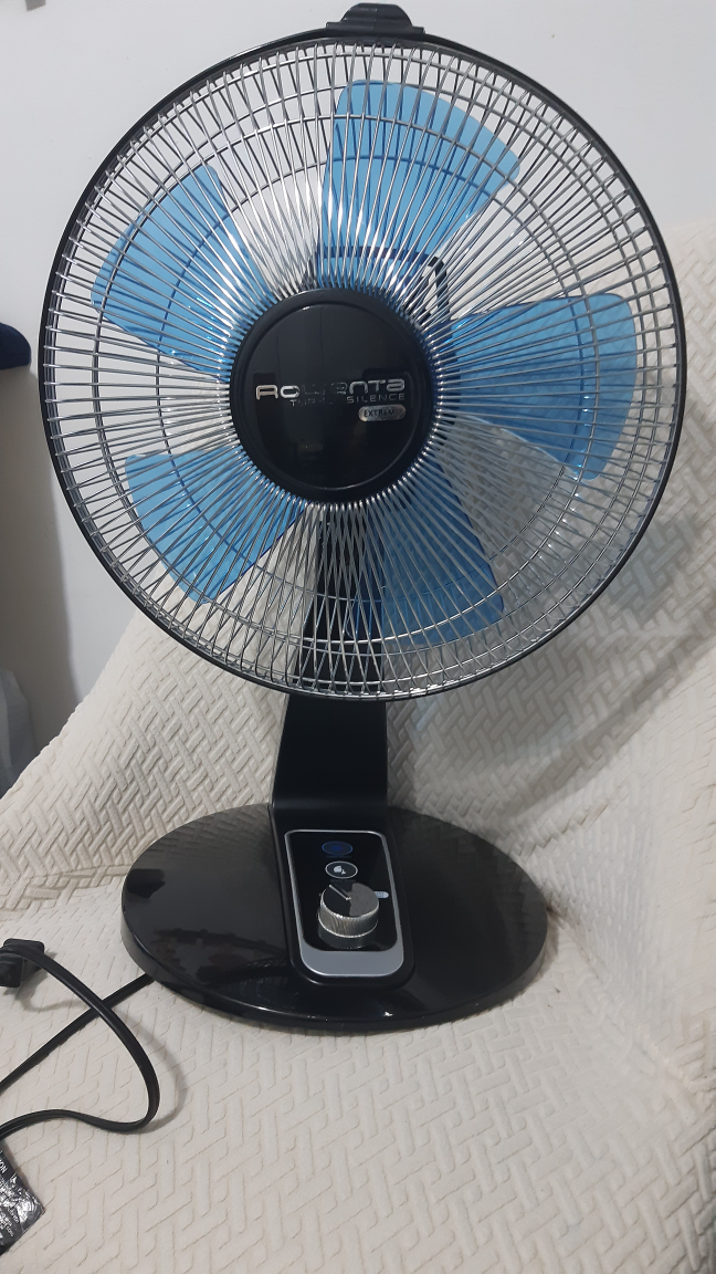 Rowenta Turbo Fan - photo 5