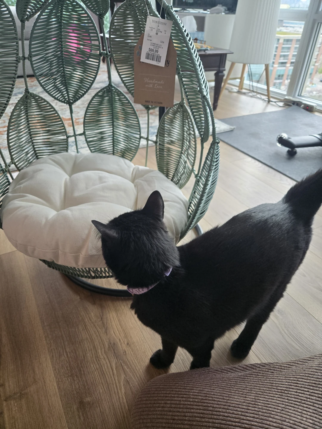 Dog Cat Hanging Egg Chair with Cushion - photo 5