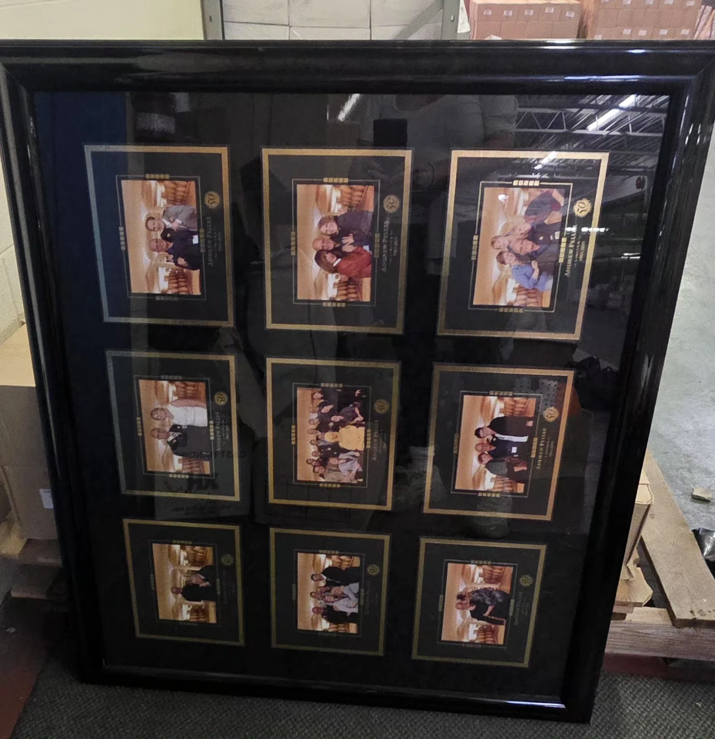 Framed Collection of 9
