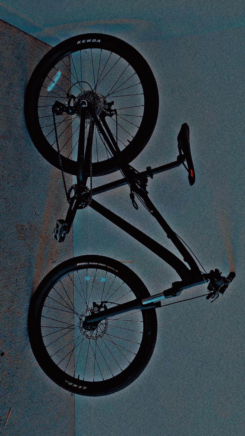Black Mountain Bike - photo 2
