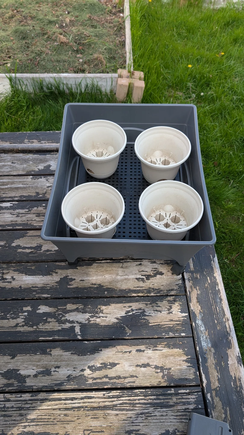 Grey Planter Box with 4 Pots on Wheels - photo 3