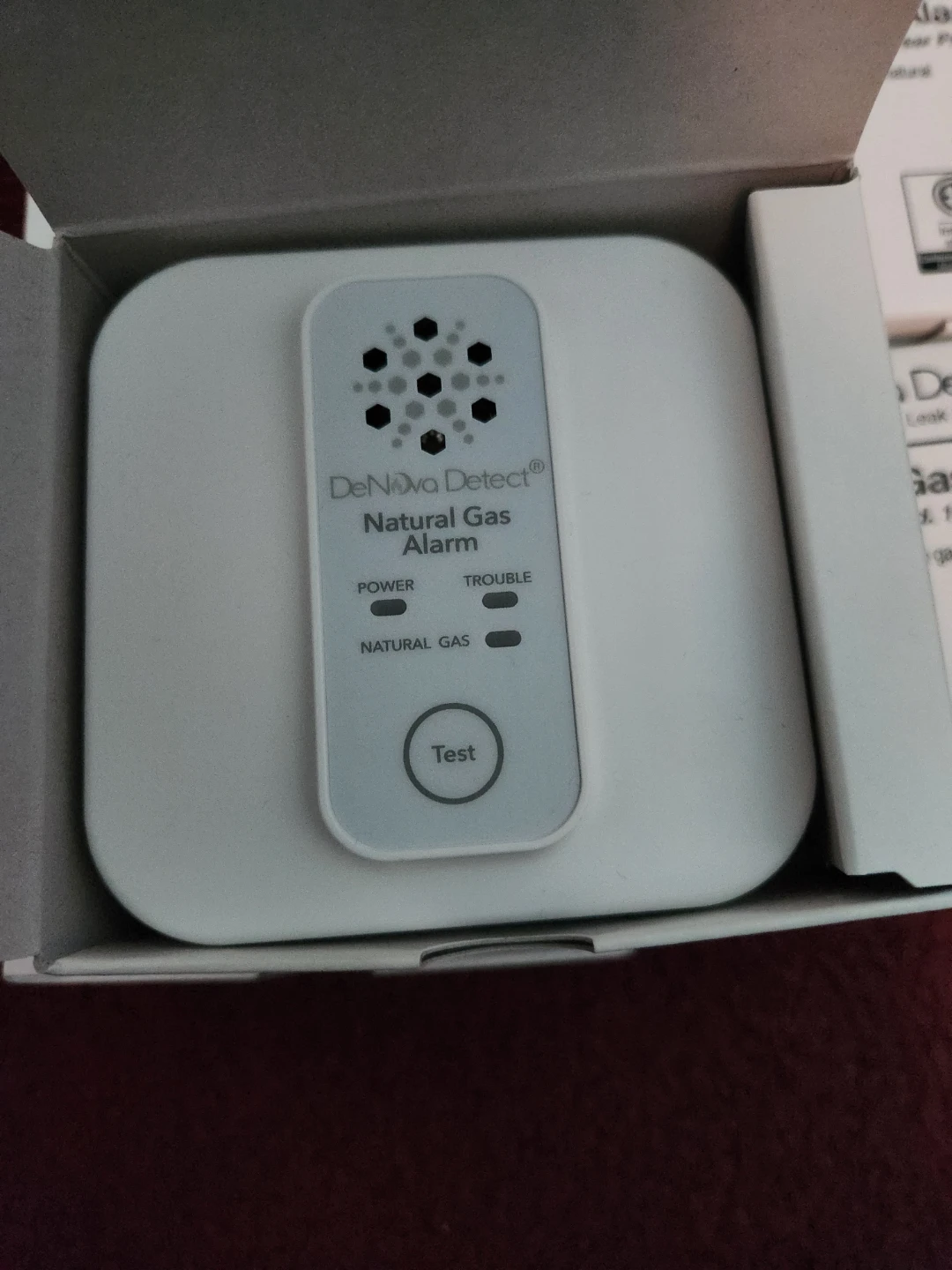 DeNova Detect Natural Gas Alarm DD620NV-CTR - photo 3