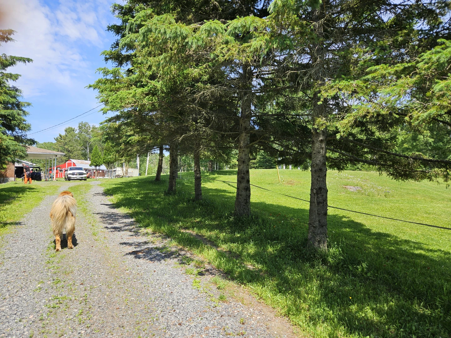 Rural Property with Mature Trees and Open Fields - photo 3
