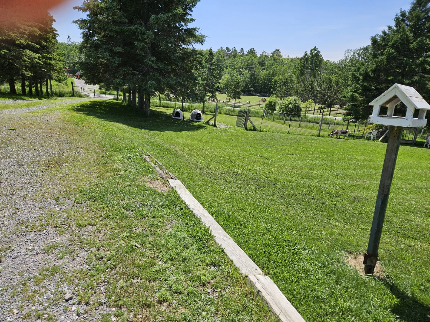 Rural Property with Mature Trees and Open Fields - photo 5