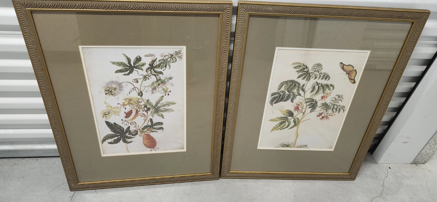 Picture of 2, one for $10? 28*34" - photo 3