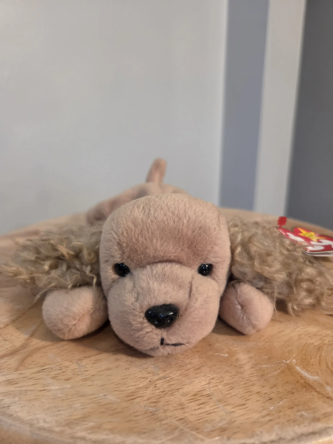 Ty Beanie Baby "Spunky" the Cocker Spaniel Dog Plush