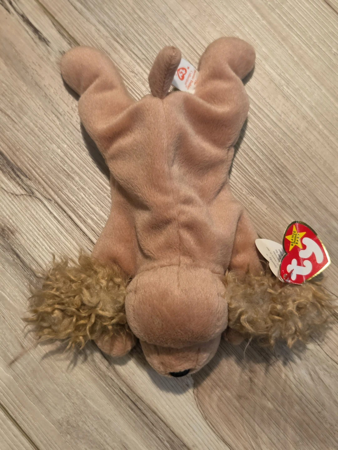 Ty Beanie Baby "Spunky" the Cocker Spaniel Dog Plush - photo 3