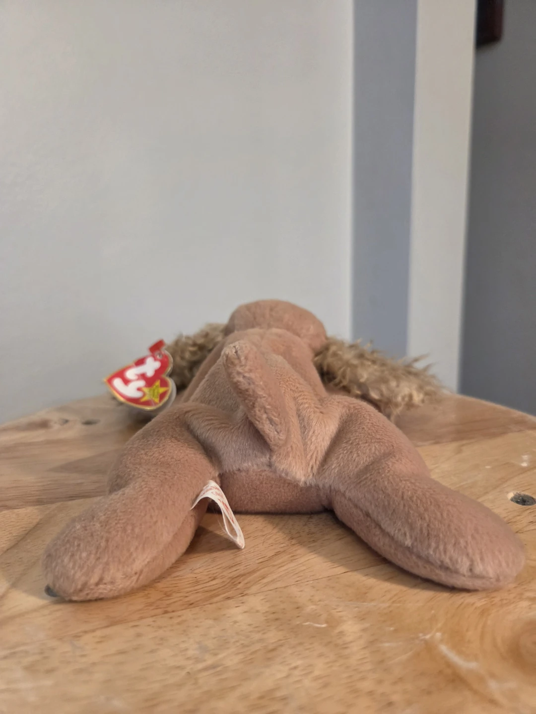 Ty Beanie Baby "Spunky" the Cocker Spaniel Dog Plush - photo 5