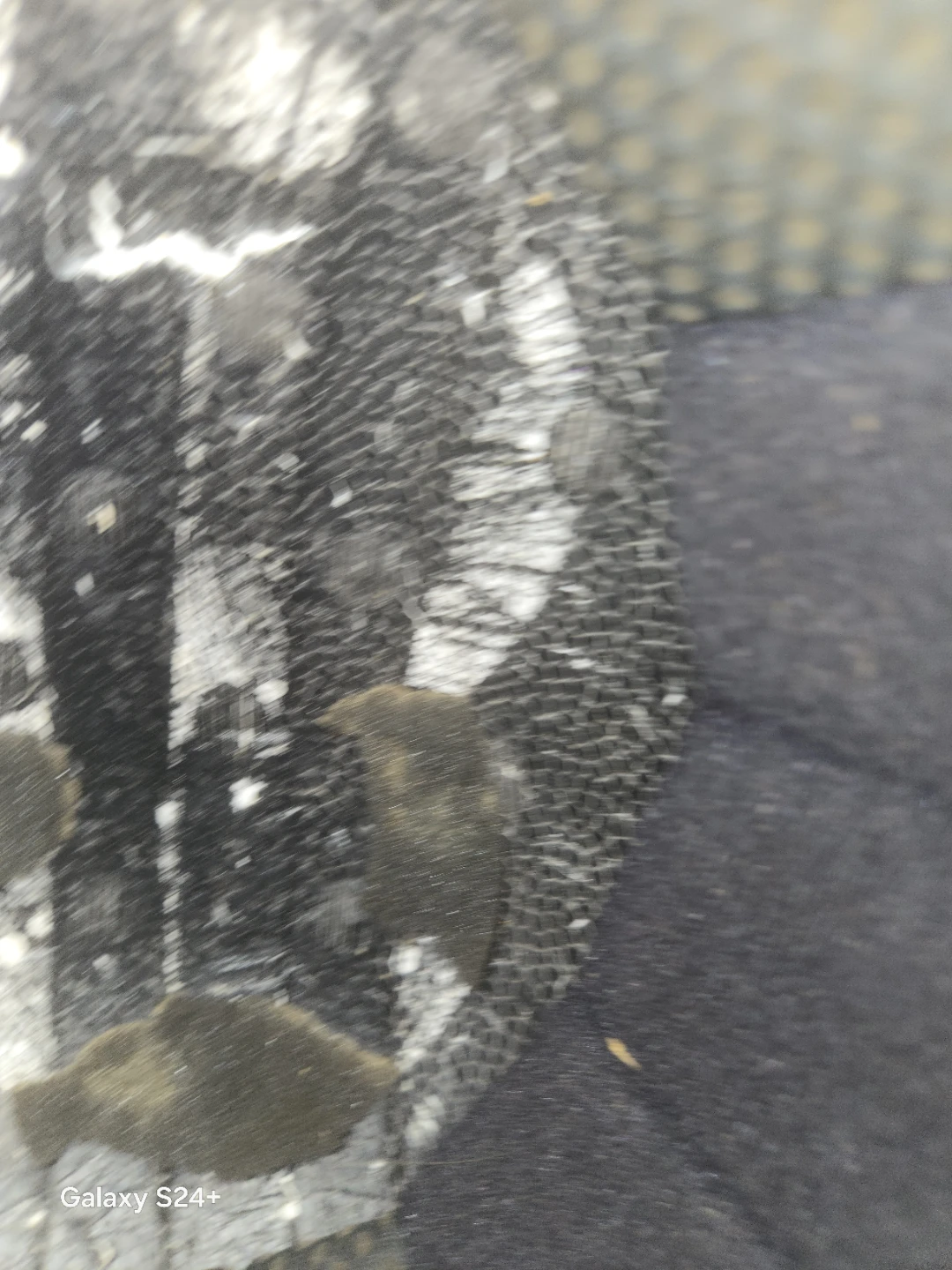 Pet Carrier - photo 4