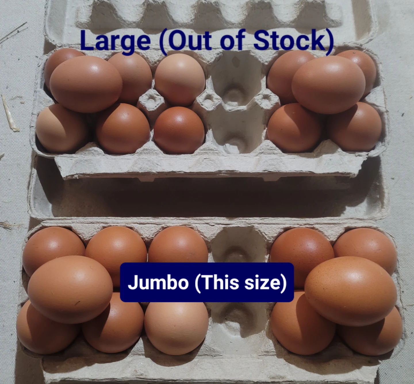 Jumbo 77g Brown Eggs - photo 2