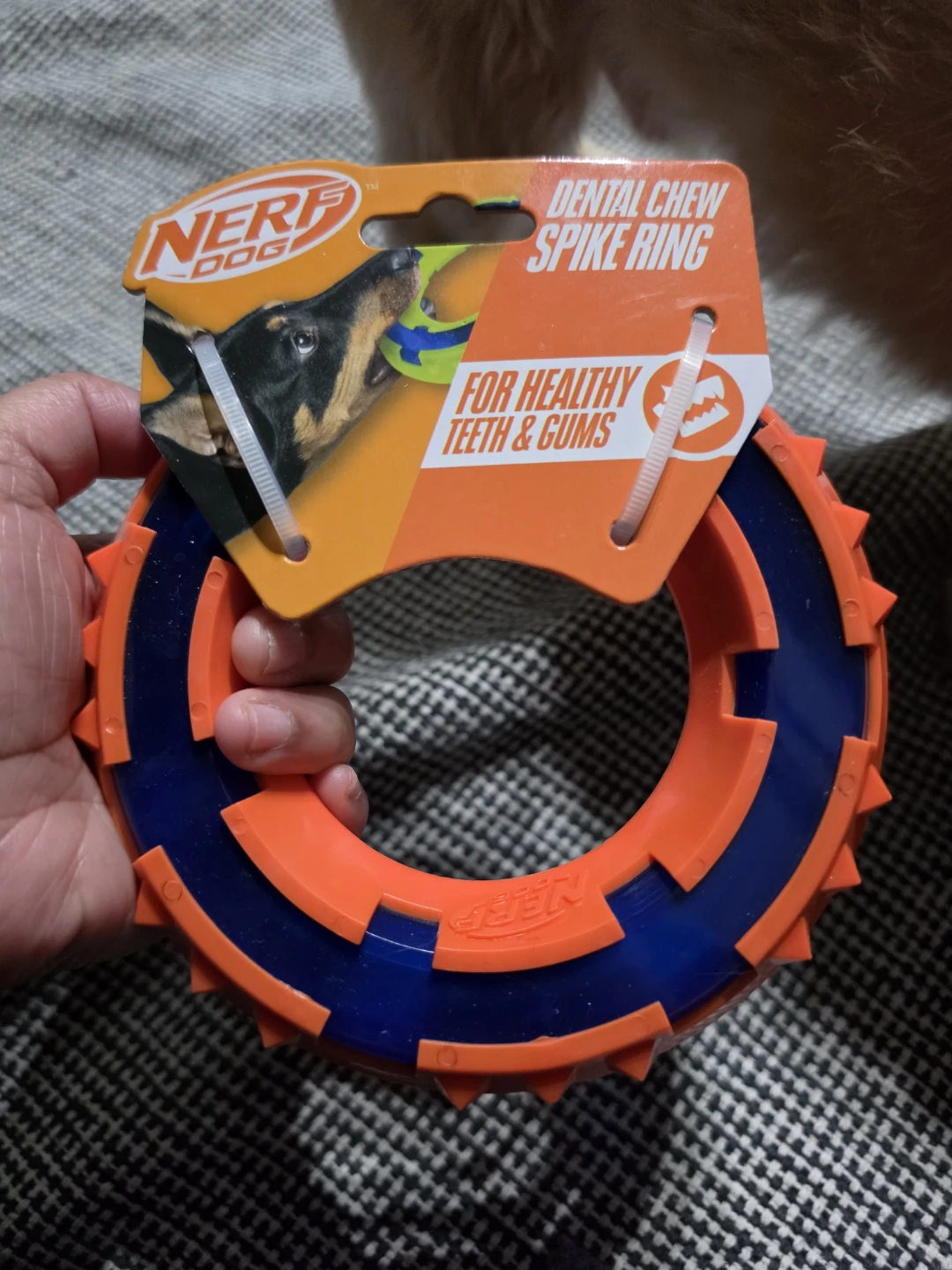 Nerf Dog Dental Chew Spike Ring Toy