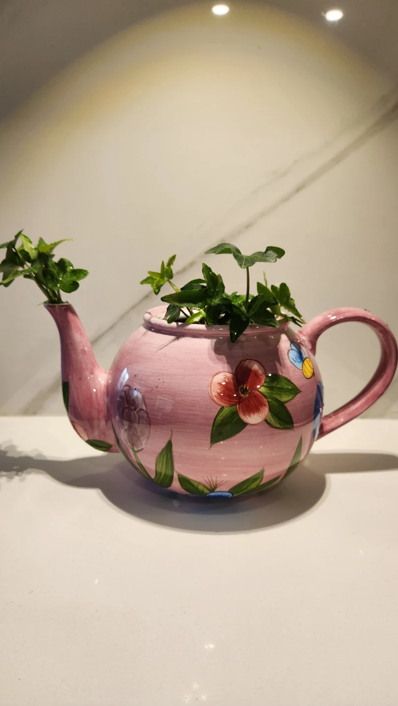Garden styled teapot planter with ivy plant