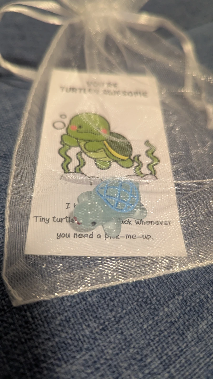 Tiny Turtle Pick-Me-Up appreciation gift