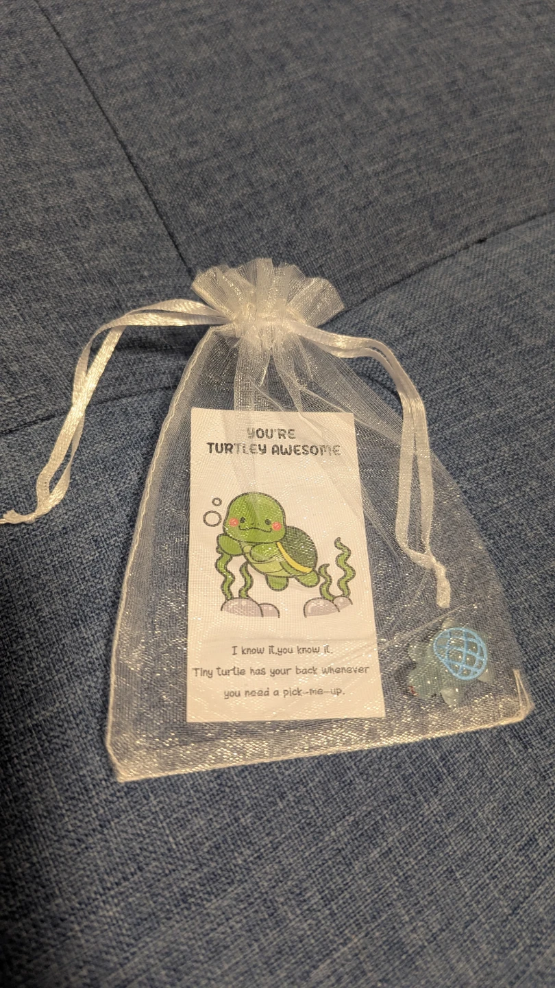 Tiny Turtle Pick-Me-Up appreciation gift - photo 2