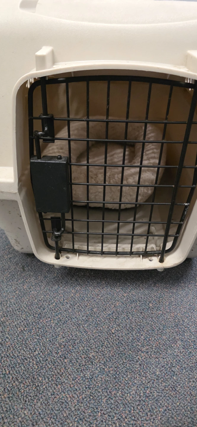 Small Dog/Cat Travel Crate Carrier w/ Bed – 21x14x14 - photo 3