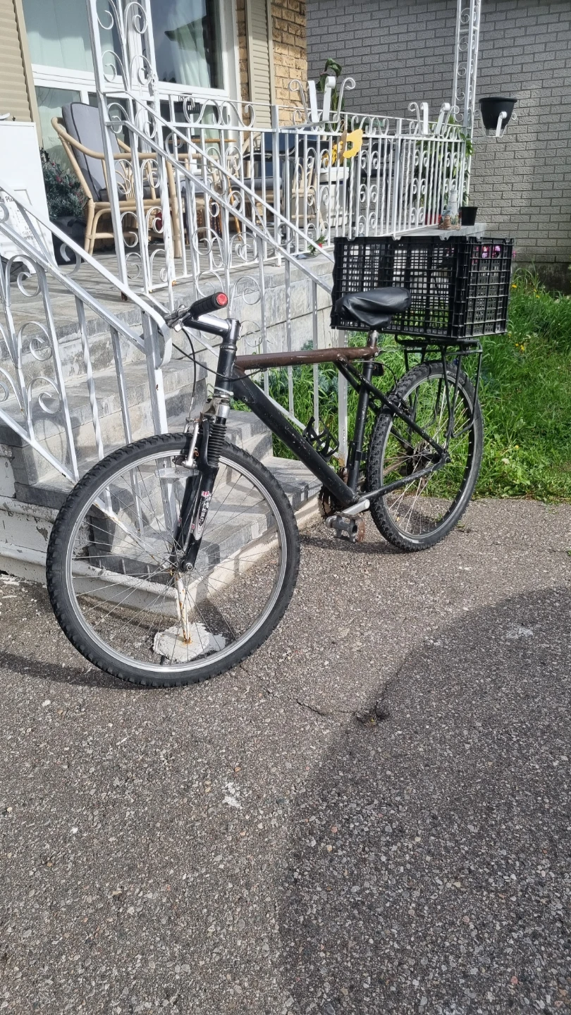 Mountain Bike with Basket - photo 4