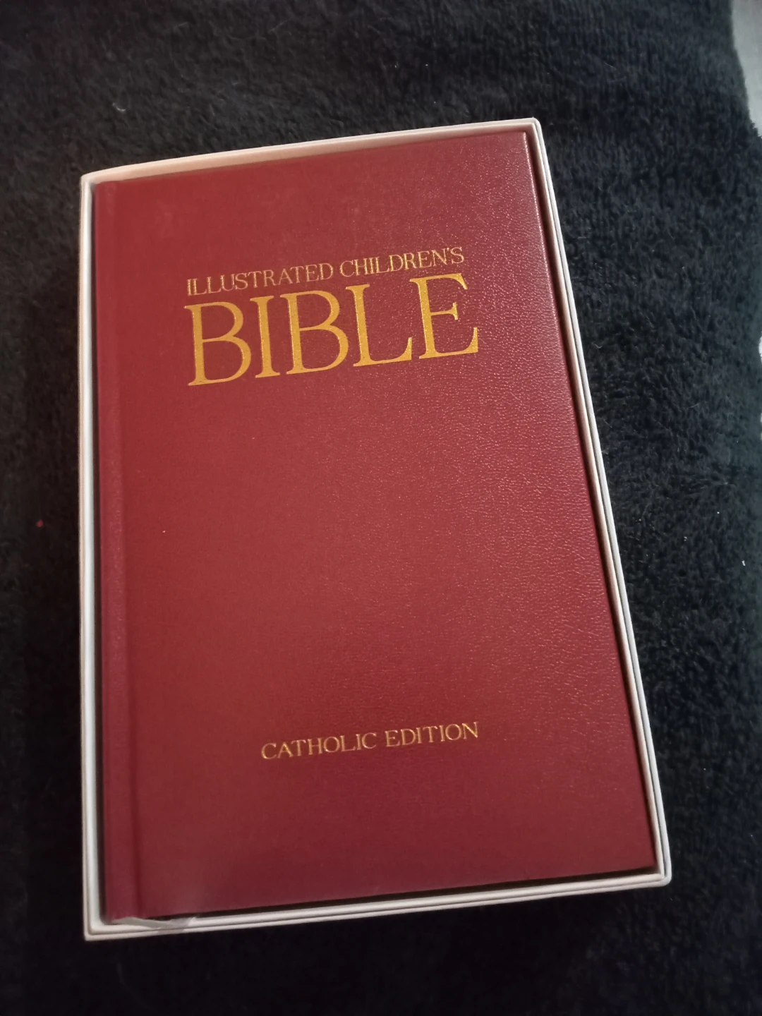 Illustrated Children's Bible Catholic Edition