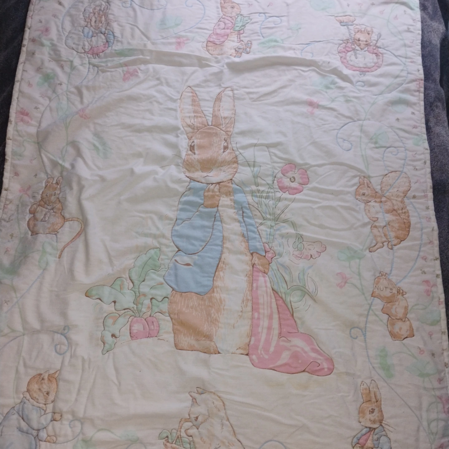 Peter Rabbit Quilt / Blanket