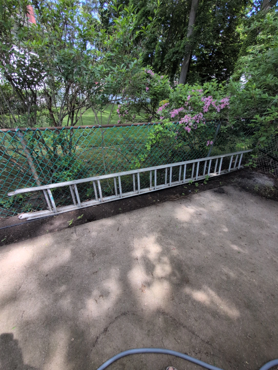 Aluminum Extension Ladder