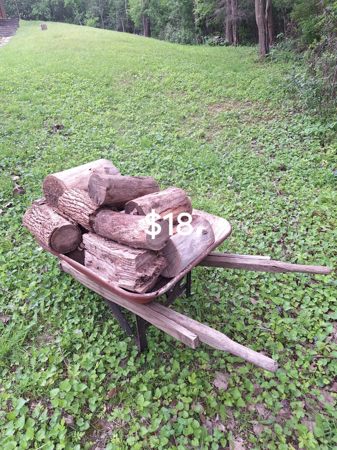 Firewood