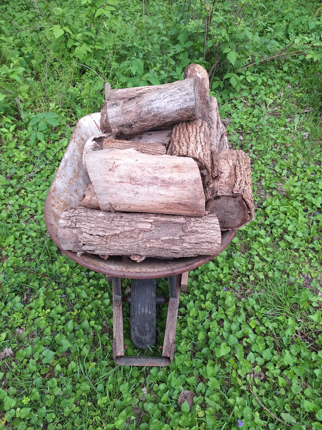 Firewood - photo 2
