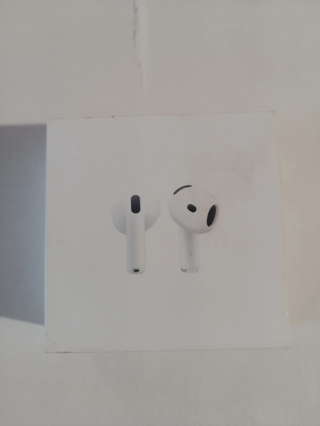 Apple AirPods Pro Charging Case
