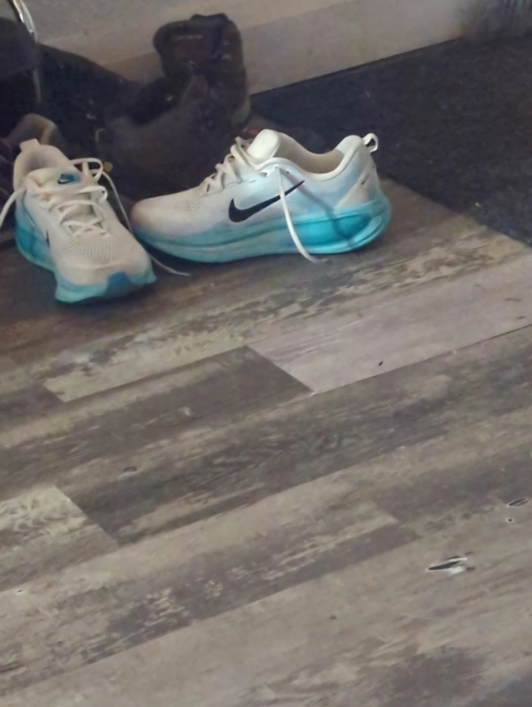 Nike Air Max Running Shoes