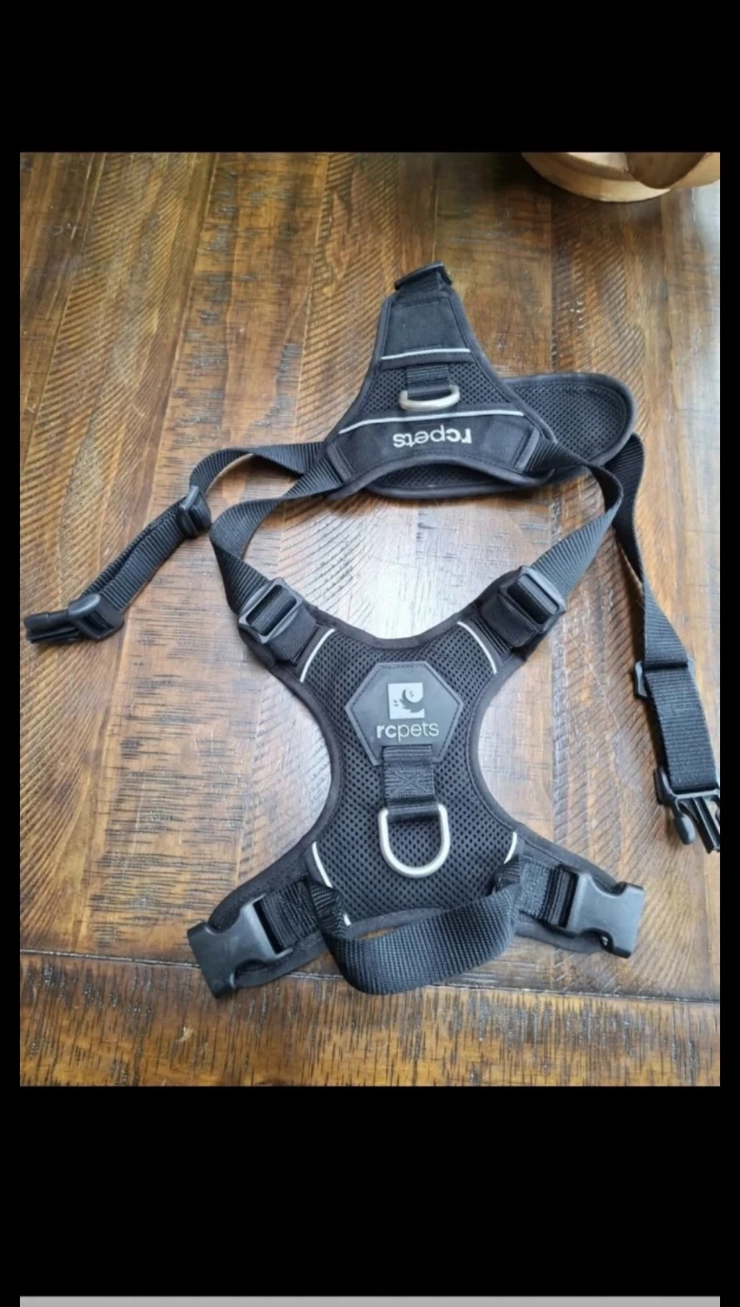 Rcpets size large black harness