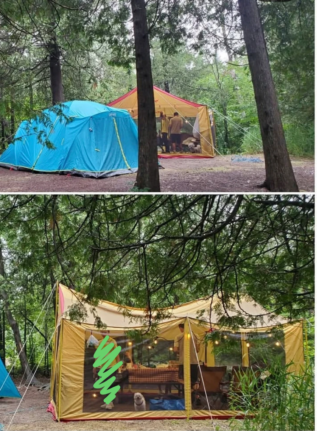 Buffalo Tent & Tarp Screen House Set - photo 3