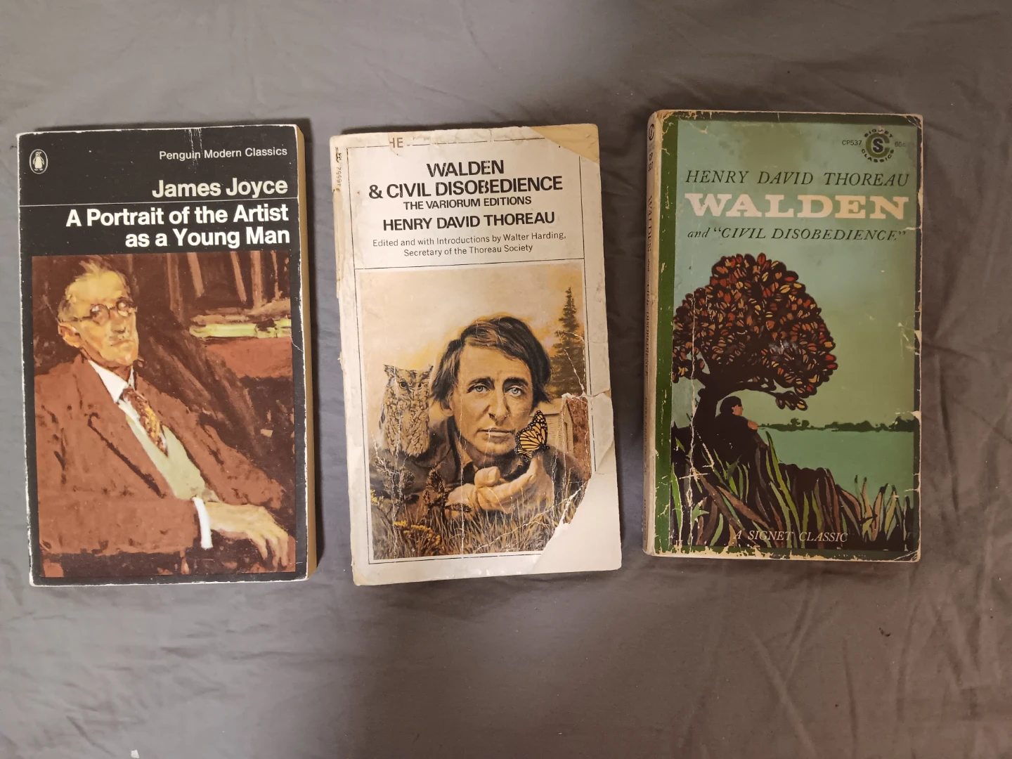 3 Books: James Joyce, Henry David Thoreau Walden