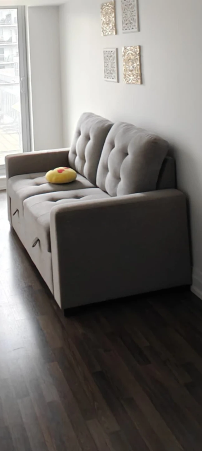 Grey Loveseat Bed with Tufted Back
