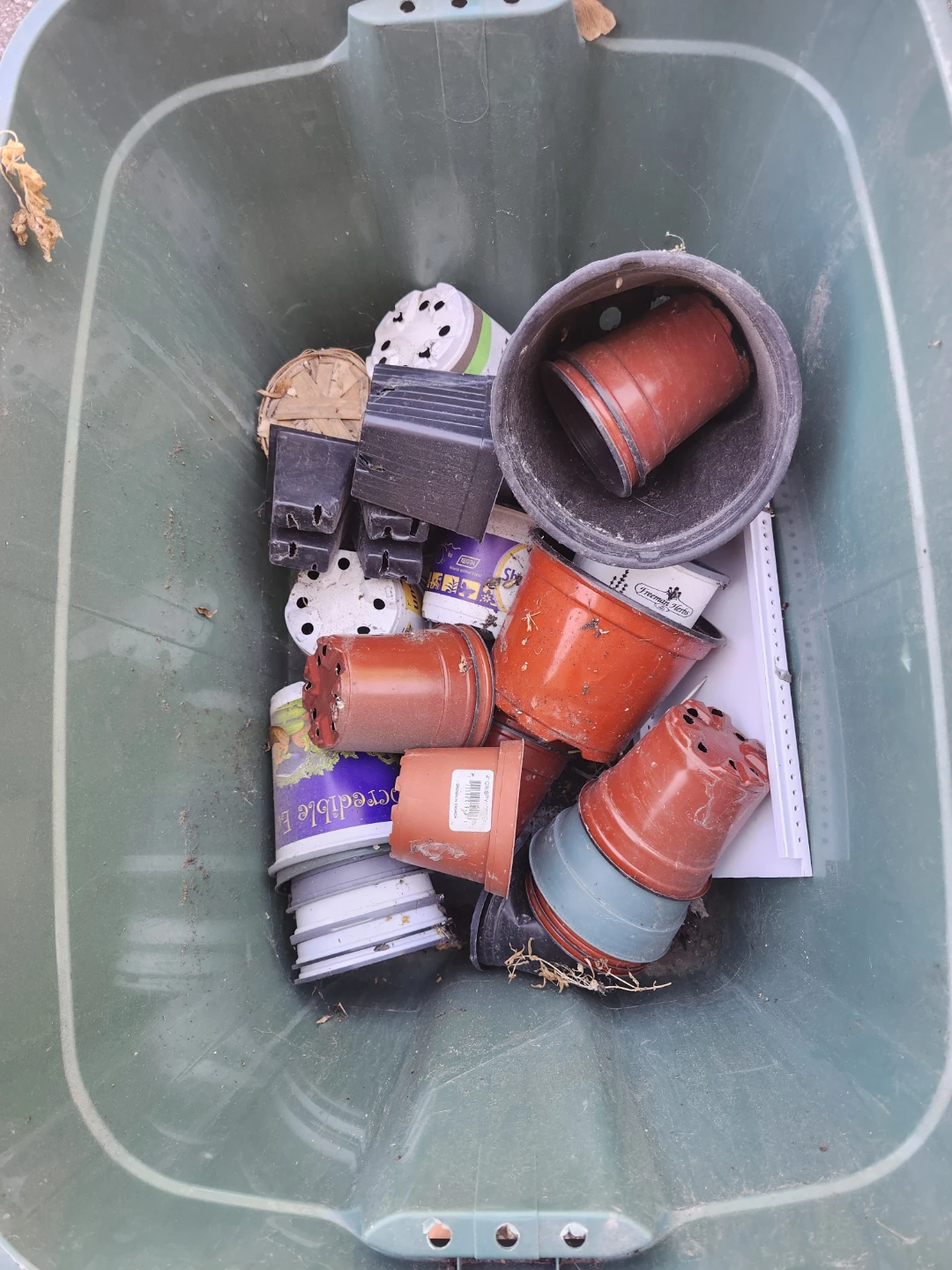Assorted Plant Pots