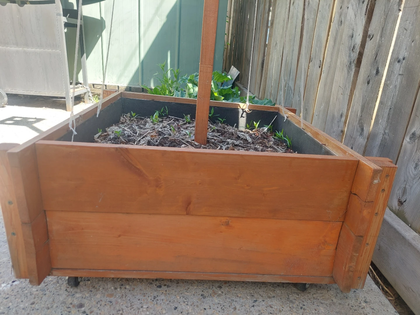 Wooden Raised Garden Bed with Trellis - photo 4