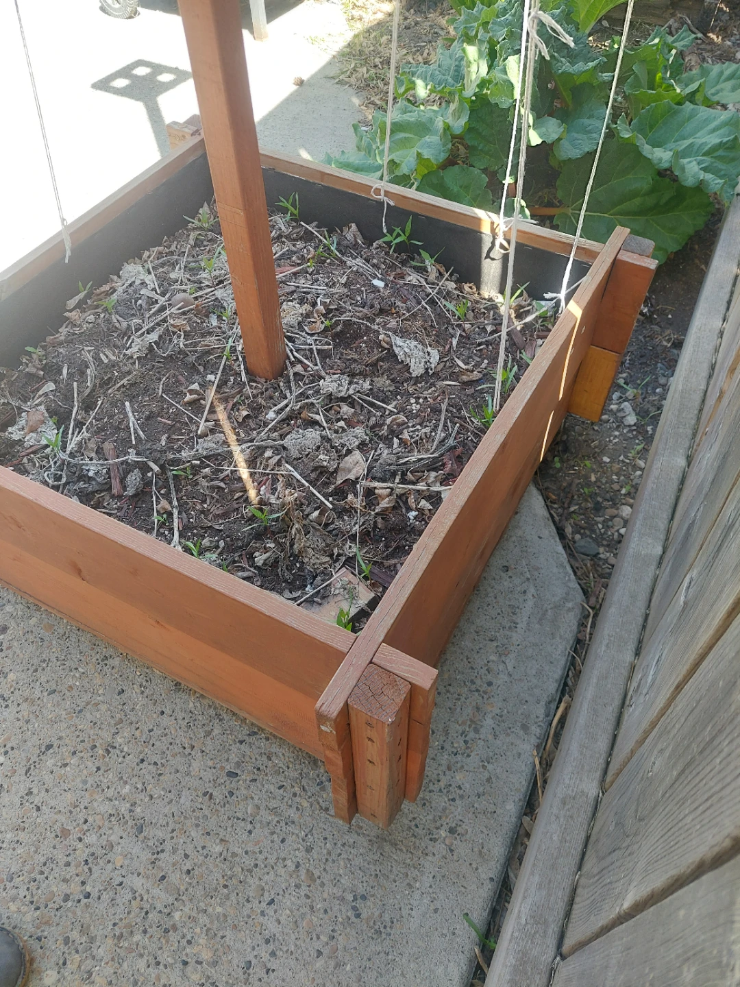 Wooden Raised Garden Bed with Trellis - photo 5