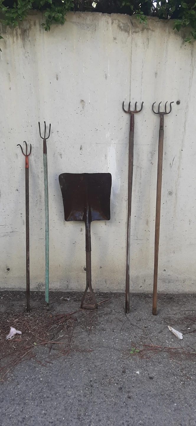 Gardening Tools - Shovel and 3 Spading Forks