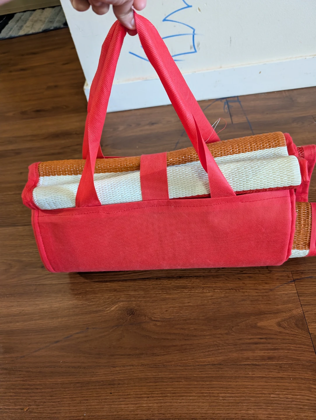 Striped Beach Mat with Carrying Case