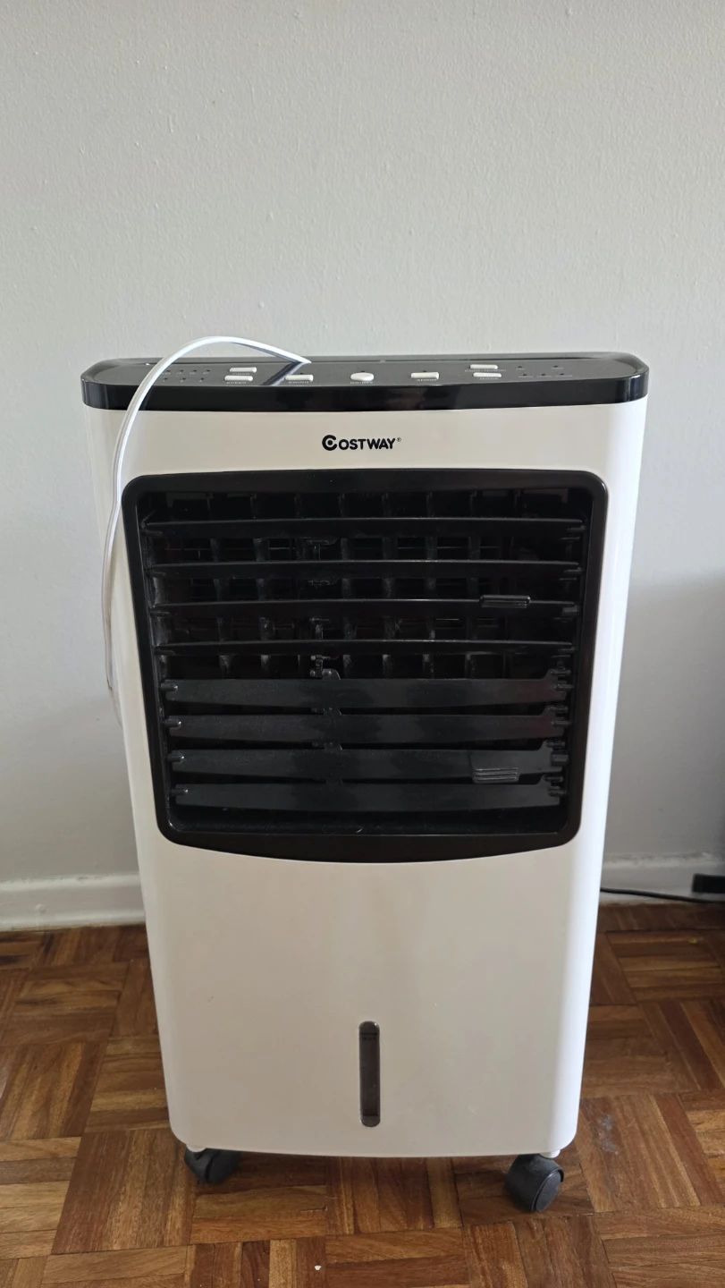 Air Cooler/Humidifier (Costway)