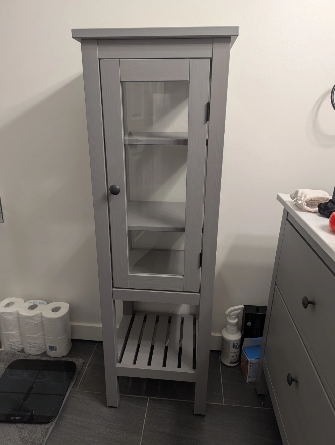 Grey Storage Cabinet with Glass Door
