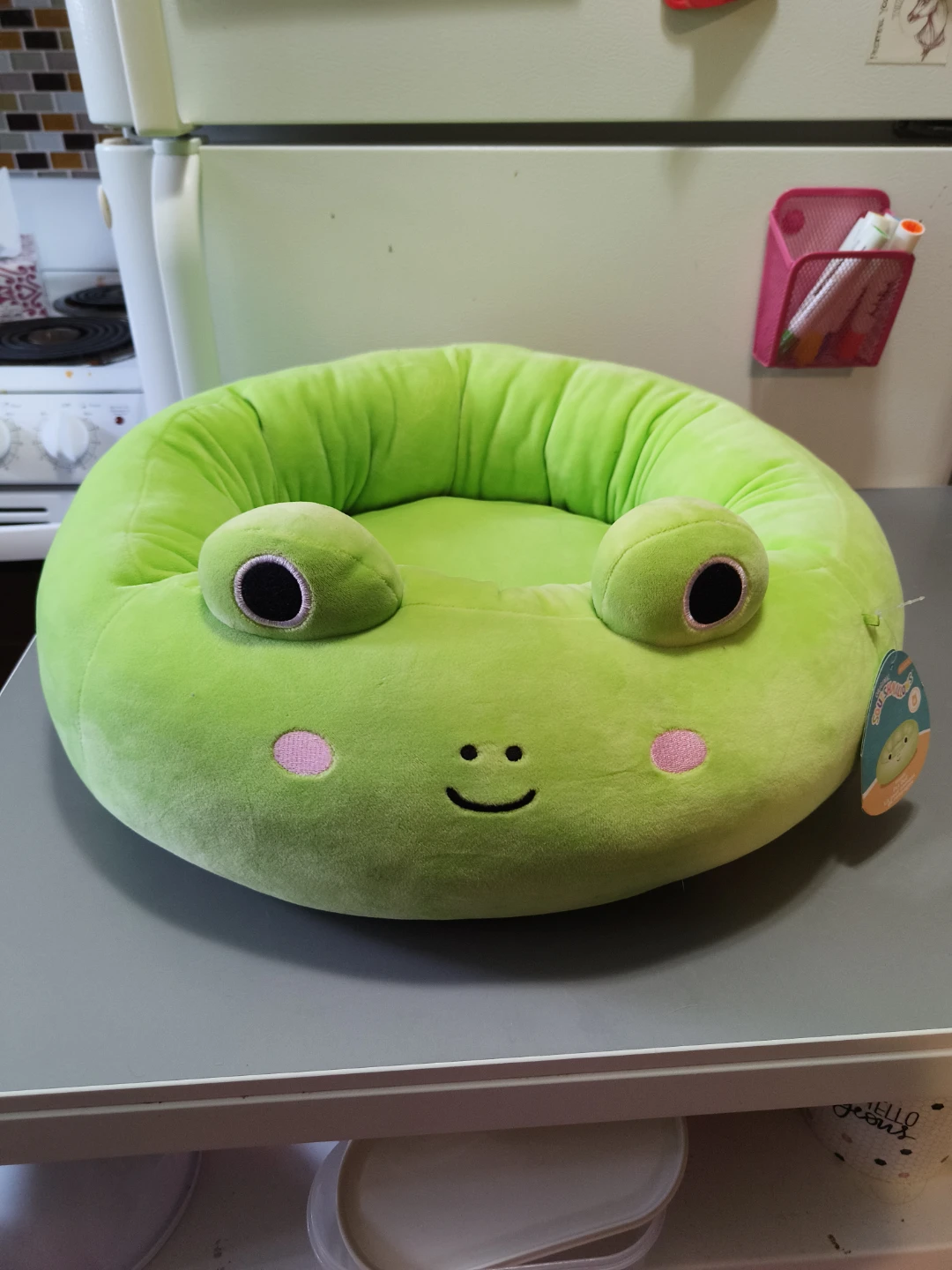 [LICENCED SQUISMALLOW] Wendy the frog pet bet