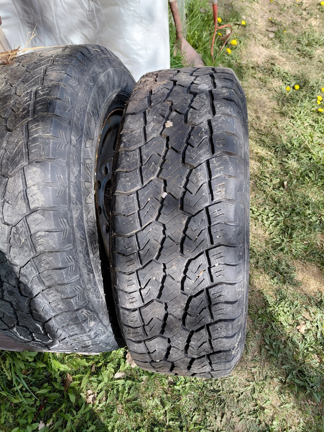 Set of 2 All-Terrain Tires