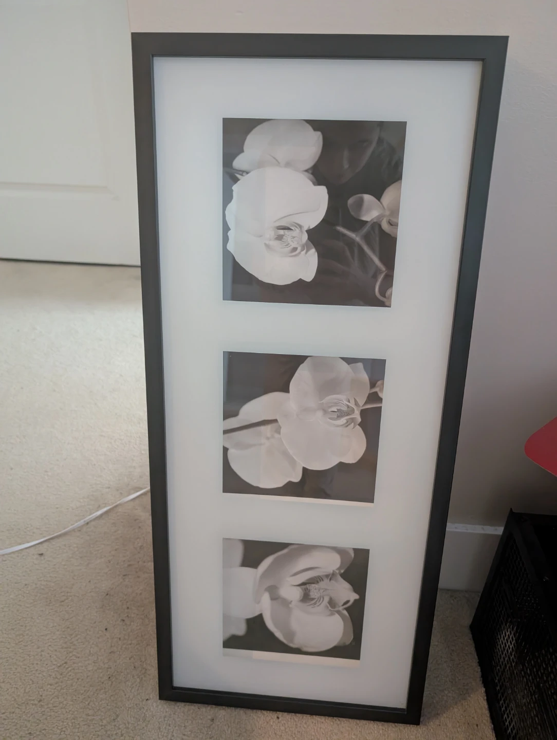 Ikea Framed Orchid Prints